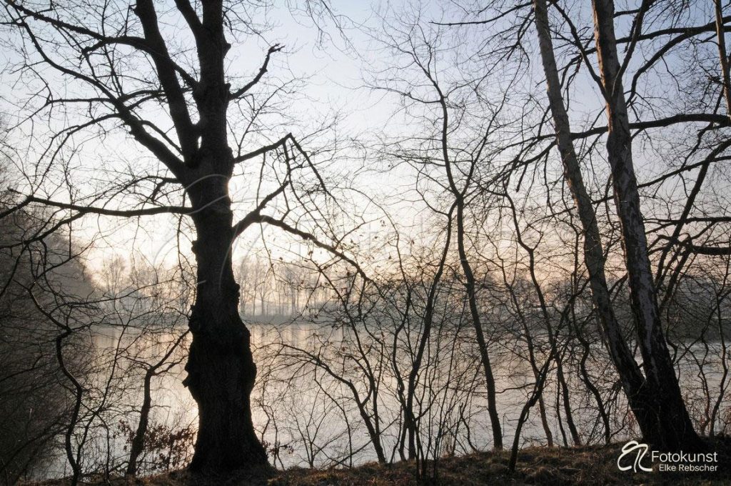 Mehrere kahle Bäume und Sträucher an einem Moorsee des Zwillbrocker Venns im Münsterland am frühen Winterabend im Gegenlicht