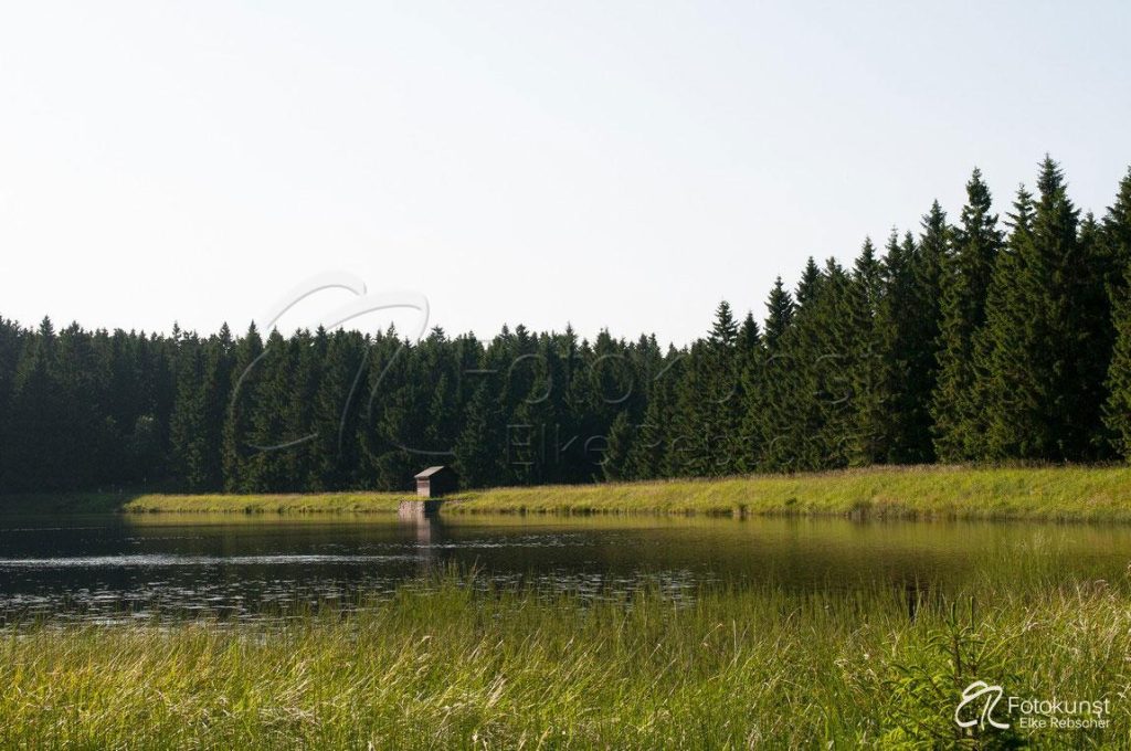 Harz, Fortuner Teich, Clausthal-Zellerfeld, dunkle Tannen, See, Oberharzer Wasserwirtschaft