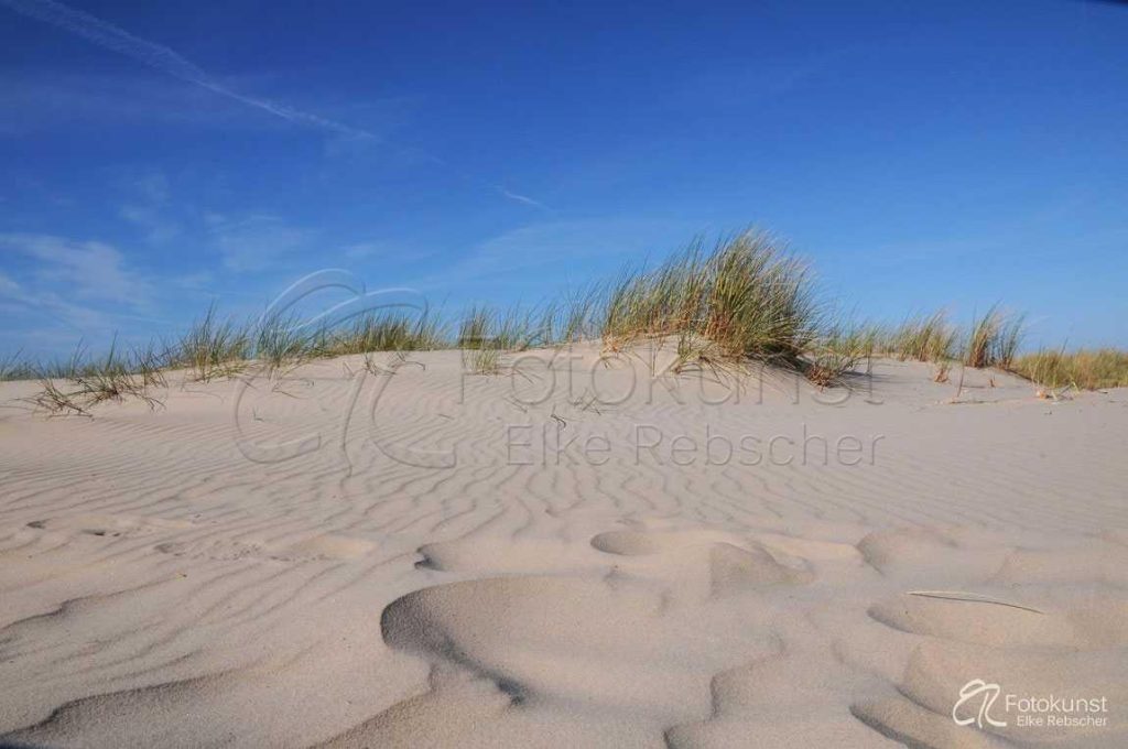 Ostfriesische Insel, Nordsee, Spiekeroog, Strand, Sand, Dünen, Gras, Strandhafer, blauer Himmel, Sonne