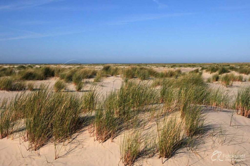 Ostfriesische Insel, Nordsee, Spiekeroog, Strand, Sand, Dünen, Dünengürtel, Gras, Strandhafer, blauer Himmel, Sonne