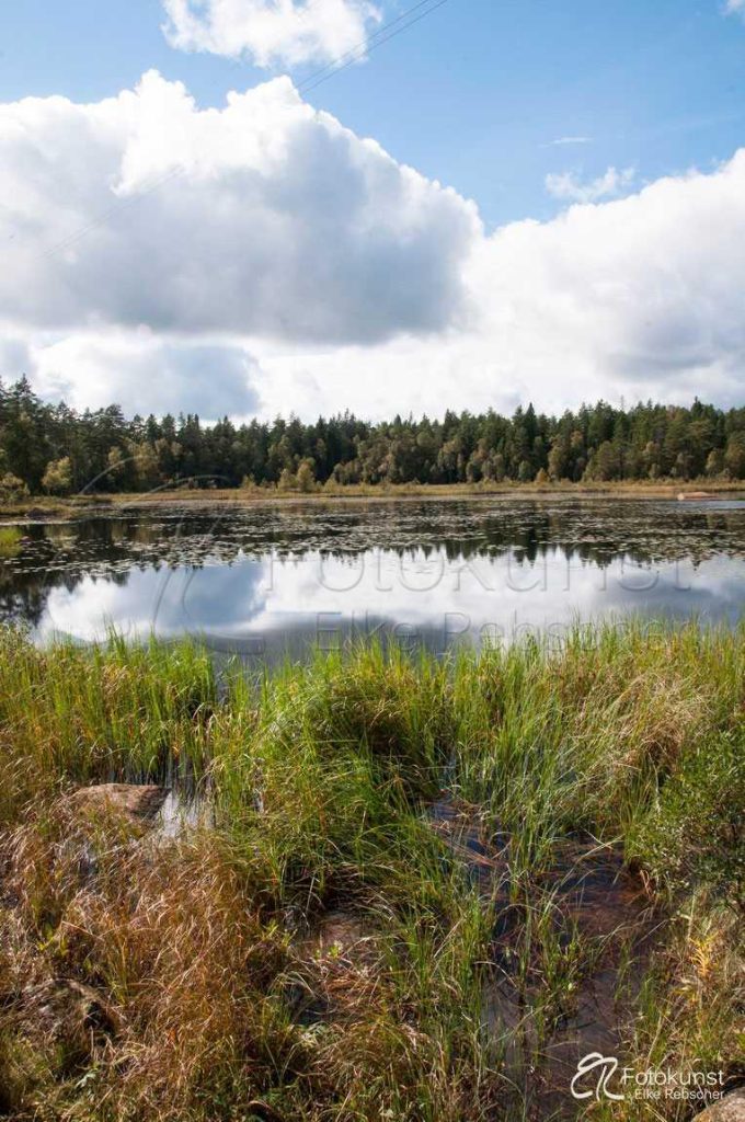 Schweden, S&uuml;dschweden, Smalland, Visj&ouml;n, See, Urlaub, Einsamkeit, Wald, Sommer