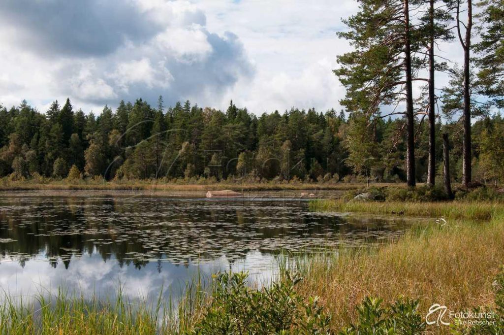 Schweden, S&uuml;dschweden, Smalland, Visj&ouml;n, See, Urlaub, Einsamkeit, Wald, Sommer